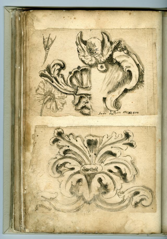 recto: studio di motivo fitomorfo, verso: abbozzo di cherubino (taccuino di disegni, elemento d'insieme) - ambito molisano (XVIII)