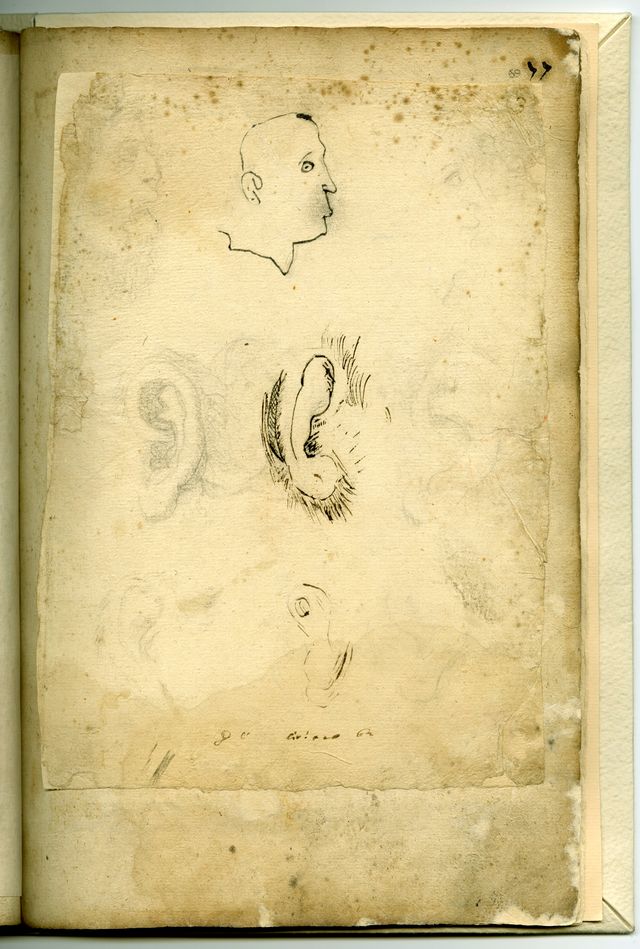 studi di orecchie con abbozzo di volto (taccuino di disegni, elemento d'insieme) di Brunetti Ciriaco (attribuito) - ambito molisano (XVIII)