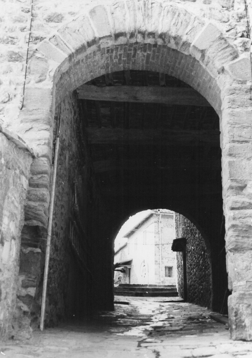 PORTA DEL CASTELLO DI CAMIGLIANO (porta, urbana) - Montalcino (SI) 