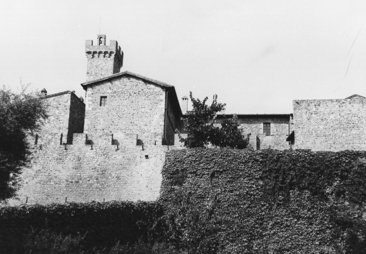 CASTELLO DI POGGIO ALLE MURA (castello, fortificato) - Montalcino (SI)  (XV, seconda metà)