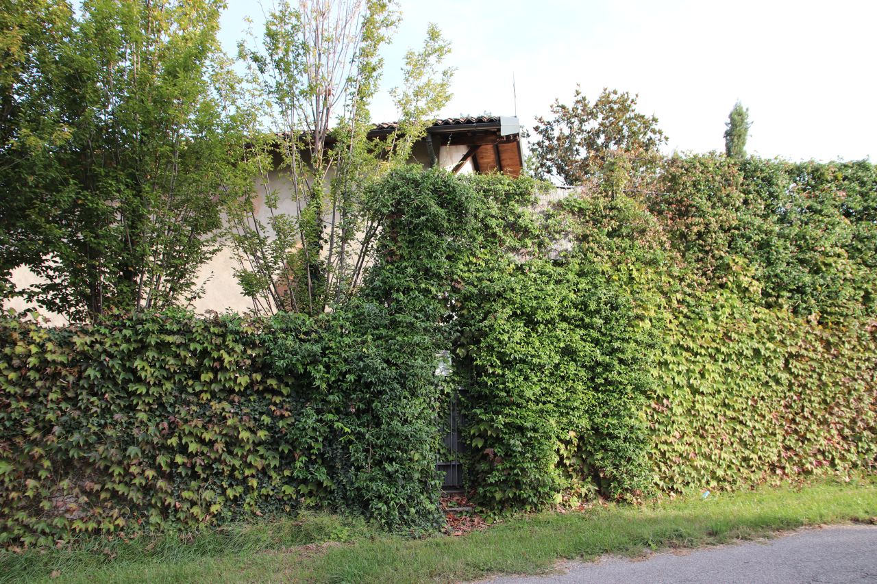 Oratorio di San Cristoforo (oratorio) - Oleggio (NO)  (XII; XVI; XVII; XII; XVII; XX)