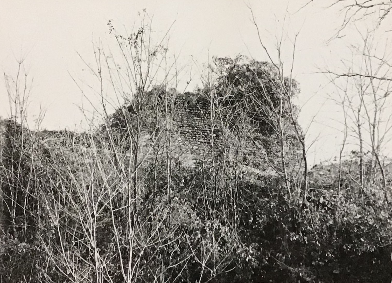 Resti di torre e mura in via Porto di Castelnovate (mura) - Oleggio (NO)  (X)