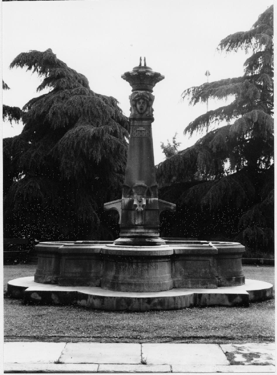 fontana - Collegno (TO)  (XX)
