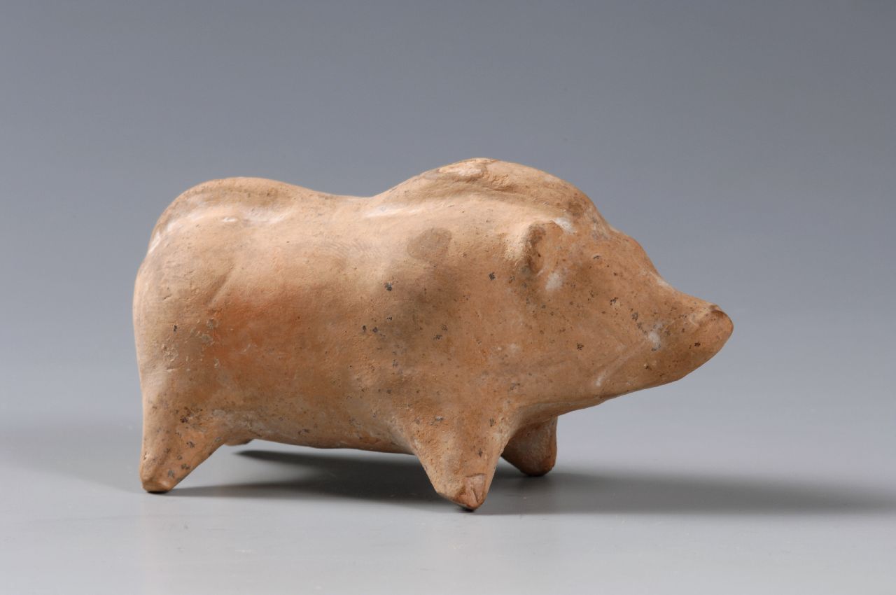 statuetta di maiale (inizio sec. V a.C)