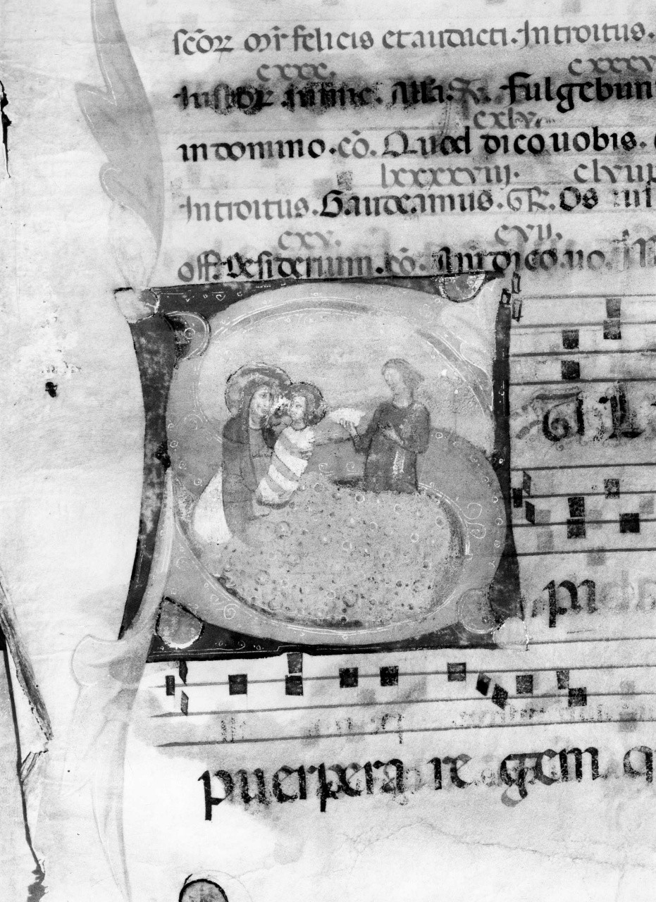 nascita di Maria Vergine (miniatura) - ambito bolognese (sec. XIV)