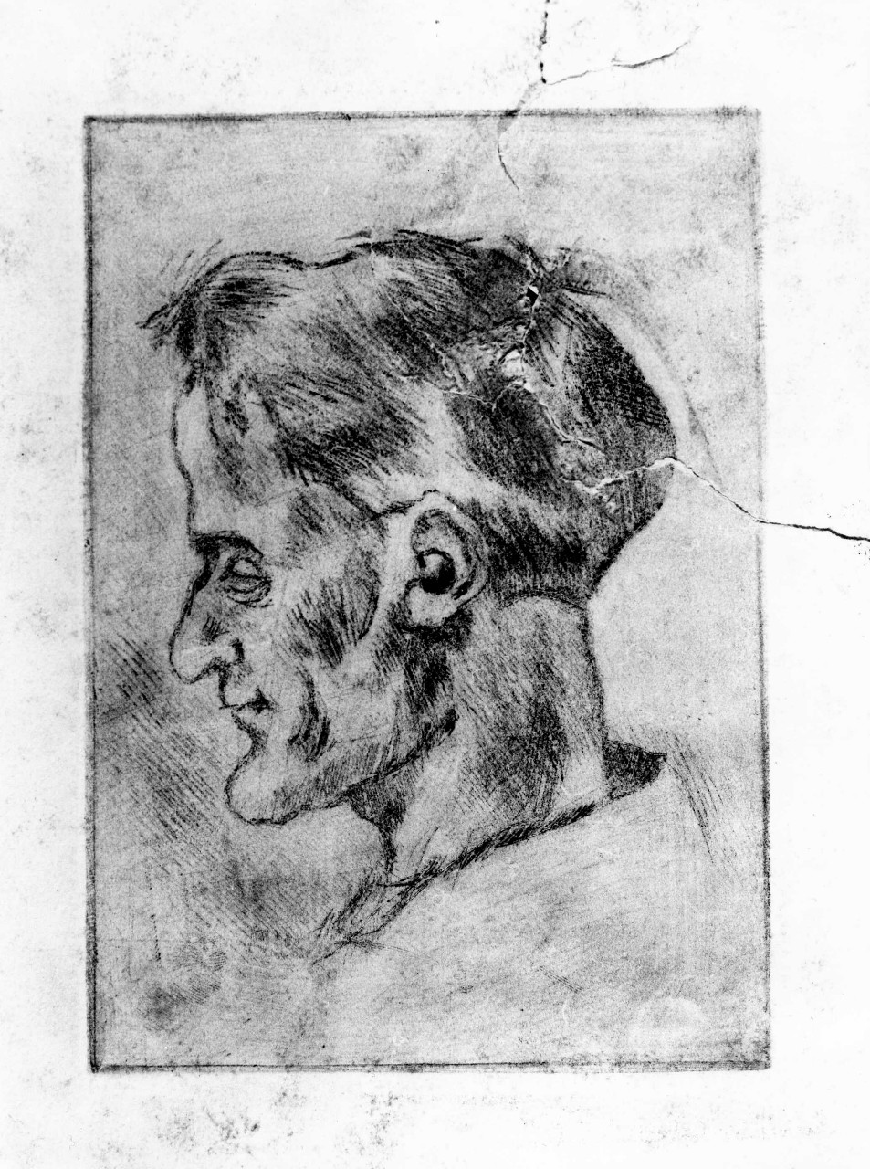 ritratto d'uomo di profilo (stampa) di Maccari Mino (sec. XX)