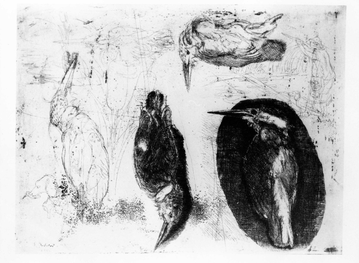 Storia del Martin pescatore, pesce (stampa) di Bartolini Luigi (sec. XX)