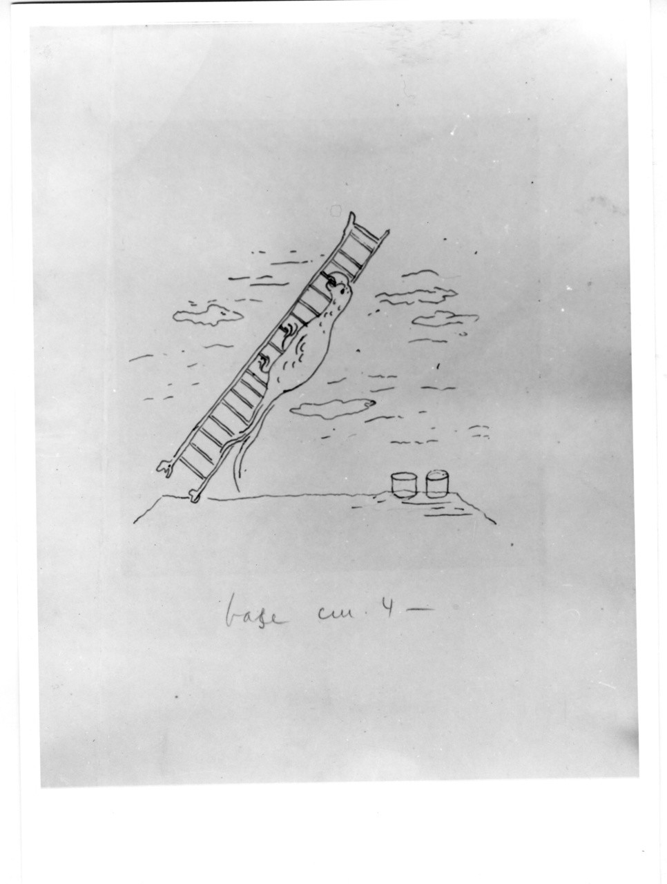 Pappagallo sopra una scaletta, animali (disegno) di Bonichi Gino detto Scipione (sec. XX)