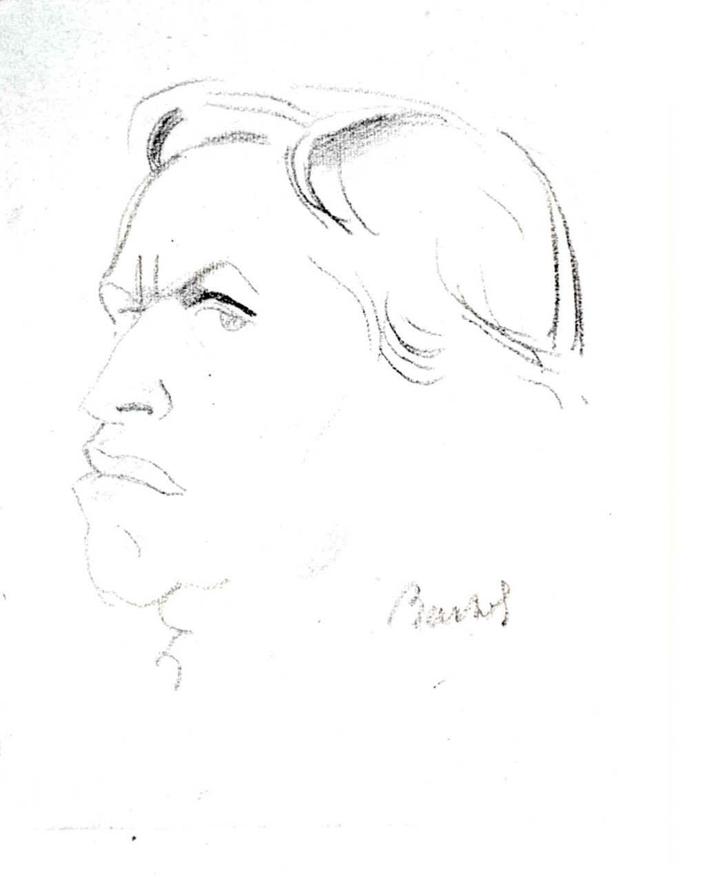 testa di tre quarti: ritratto di C. Socrate (disegno) di Bartoli Natinguerra Amerigo (prima metà sec. XX)