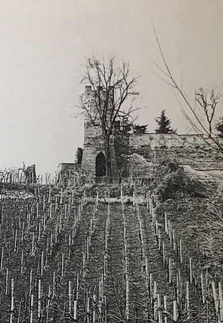 torre in località Ricetto parte del castello Belgioioso (torre) - San Colombano al Lambro (MI)  (XII)