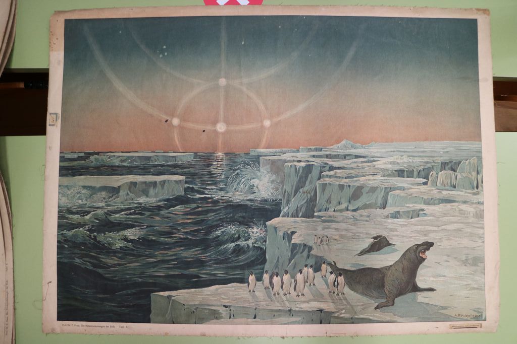 Tipologie di paesaggi terrestri (carta murale) di Reckziegel, Anton (inizio XX)