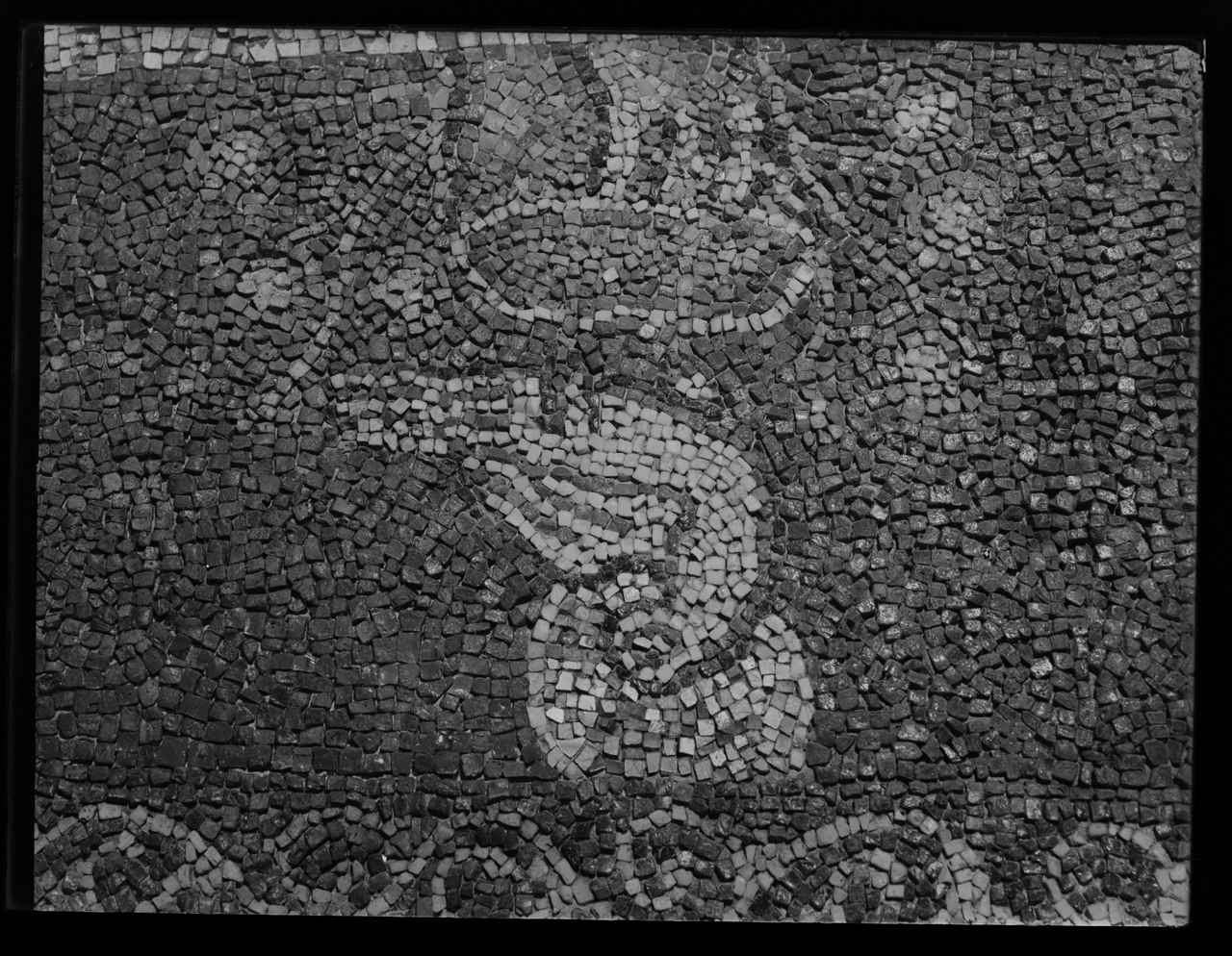 Fenice <Basilica di San Marco Evangelista al Campidoglio ; Roma> - Absidi - Mosaici - Sec. 9 (negativo) di laboratorio fotografico Soprintendenza Monumenti del Lazio (laboratorio) (terzo quarto XX)