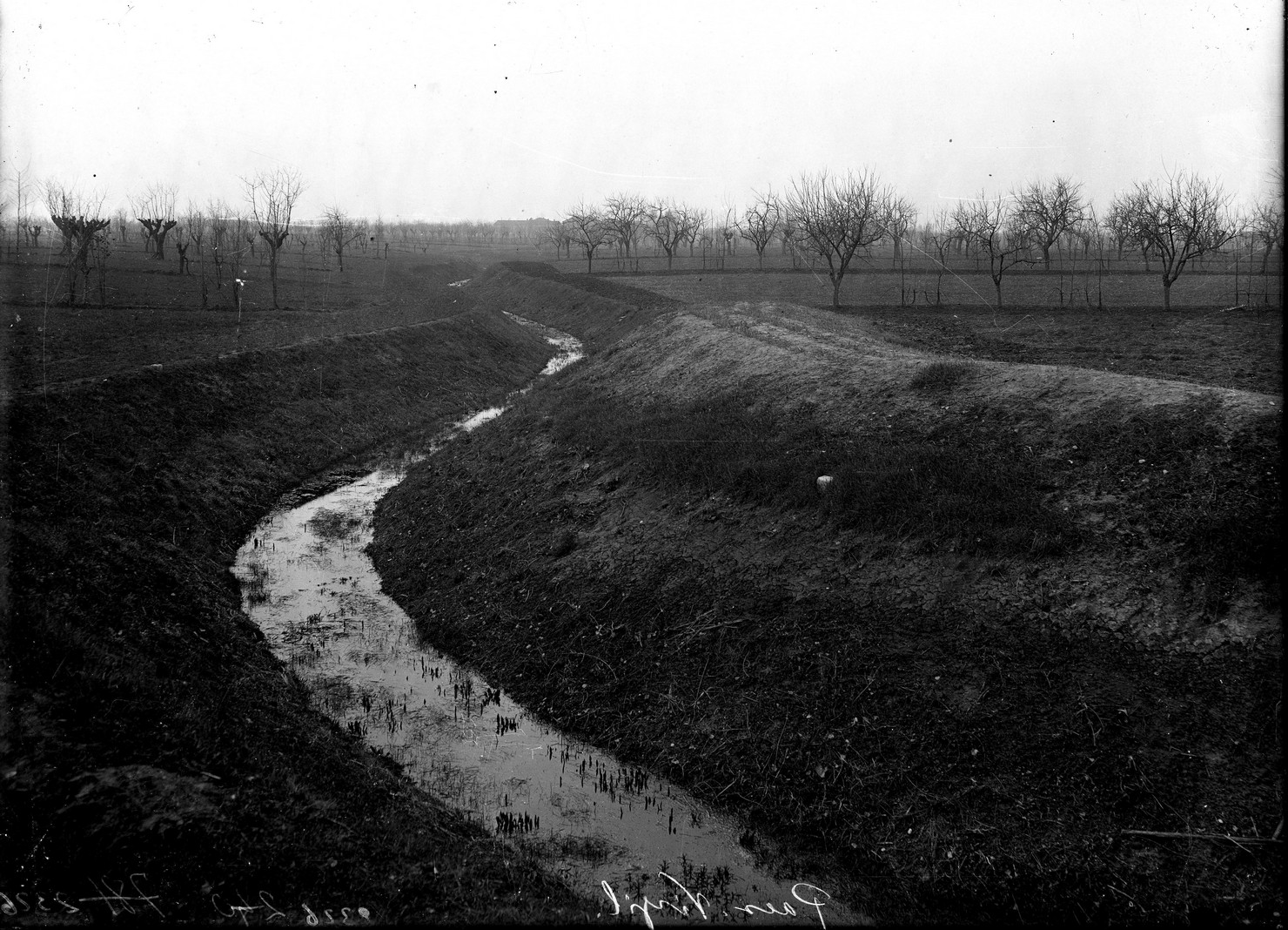 Lombardia - Mantova <provincia> - Pietole - Borgo Virgilio (negativo) di Anonimo (XX)