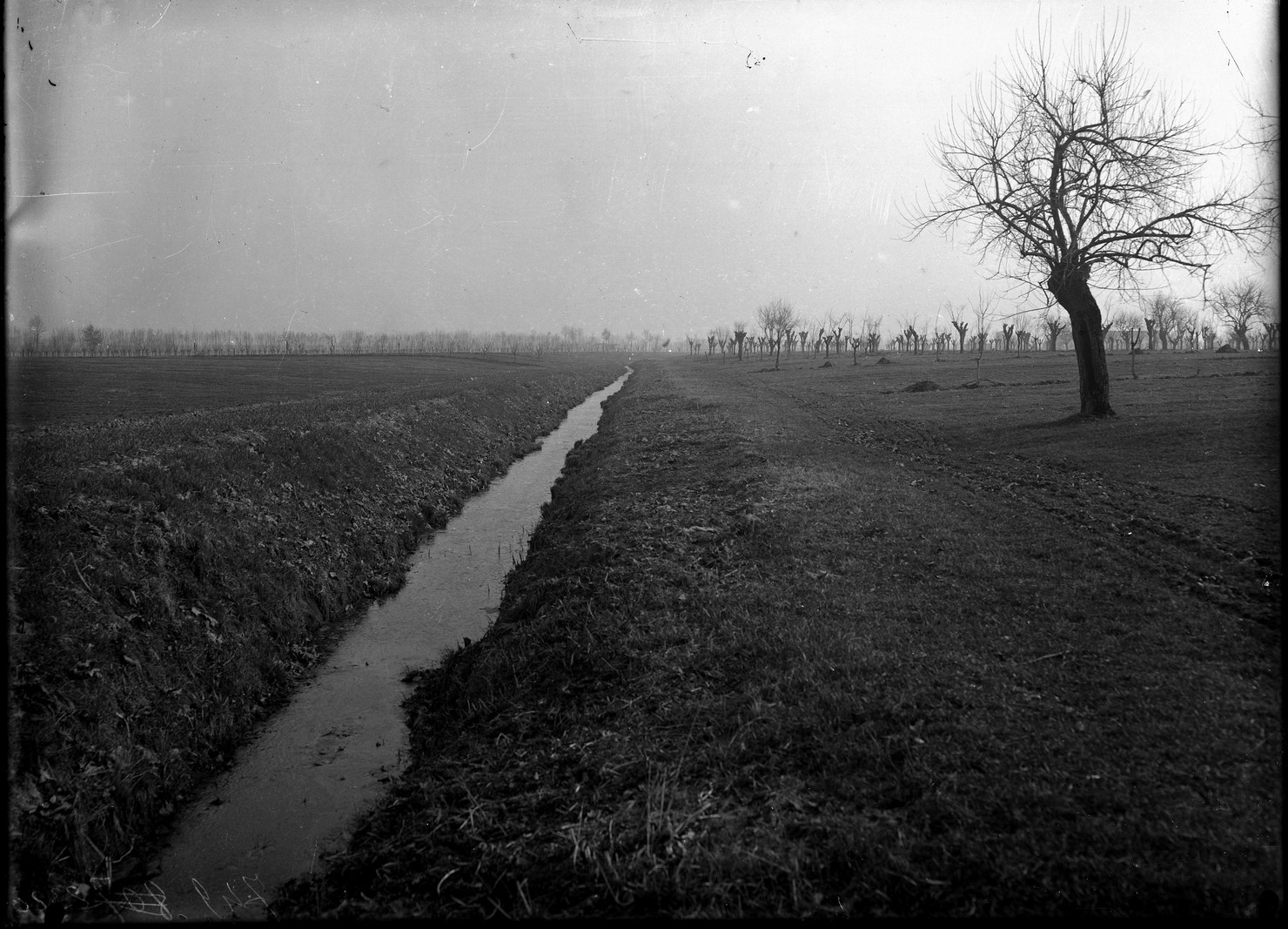 Lombardia - Mantova <provincia> - Pietole - Borgo Virgilio (negativo) di Anonimo (XX)