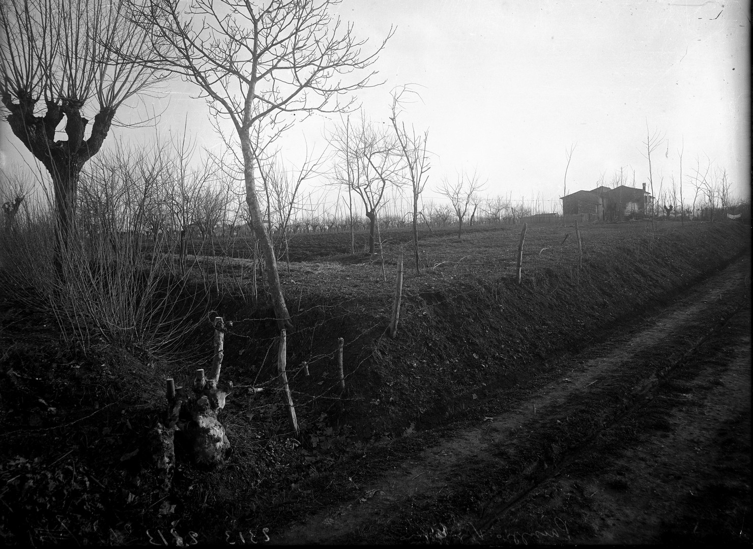 Lombardia - Mantova <provincia> - Pietole - Borgo Virgilio (negativo) di Anonimo (XX)