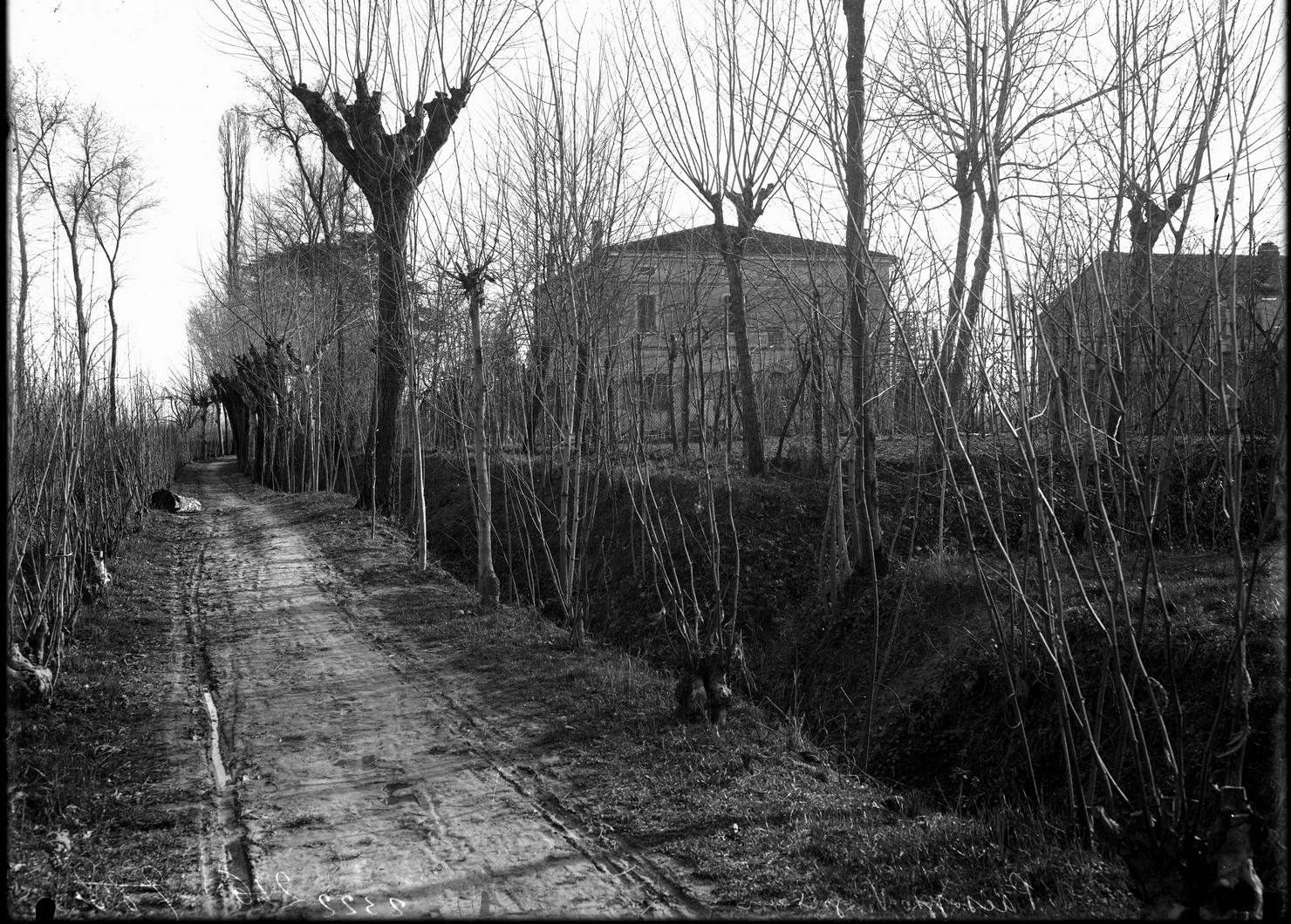 Lombardia - Mantova <provincia> - Pietole - Borgo Virgilio (negativo) di Anonimo (XX)