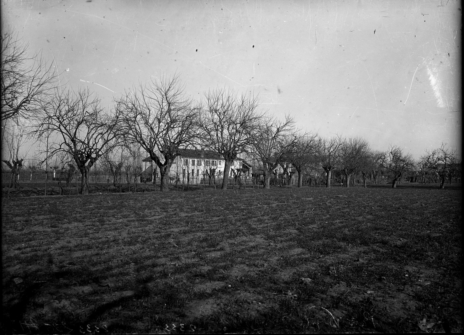 Paesaggio agrario – Terreni agrari - Coltivazione – Campi (negativo) di Anonimo (XX)