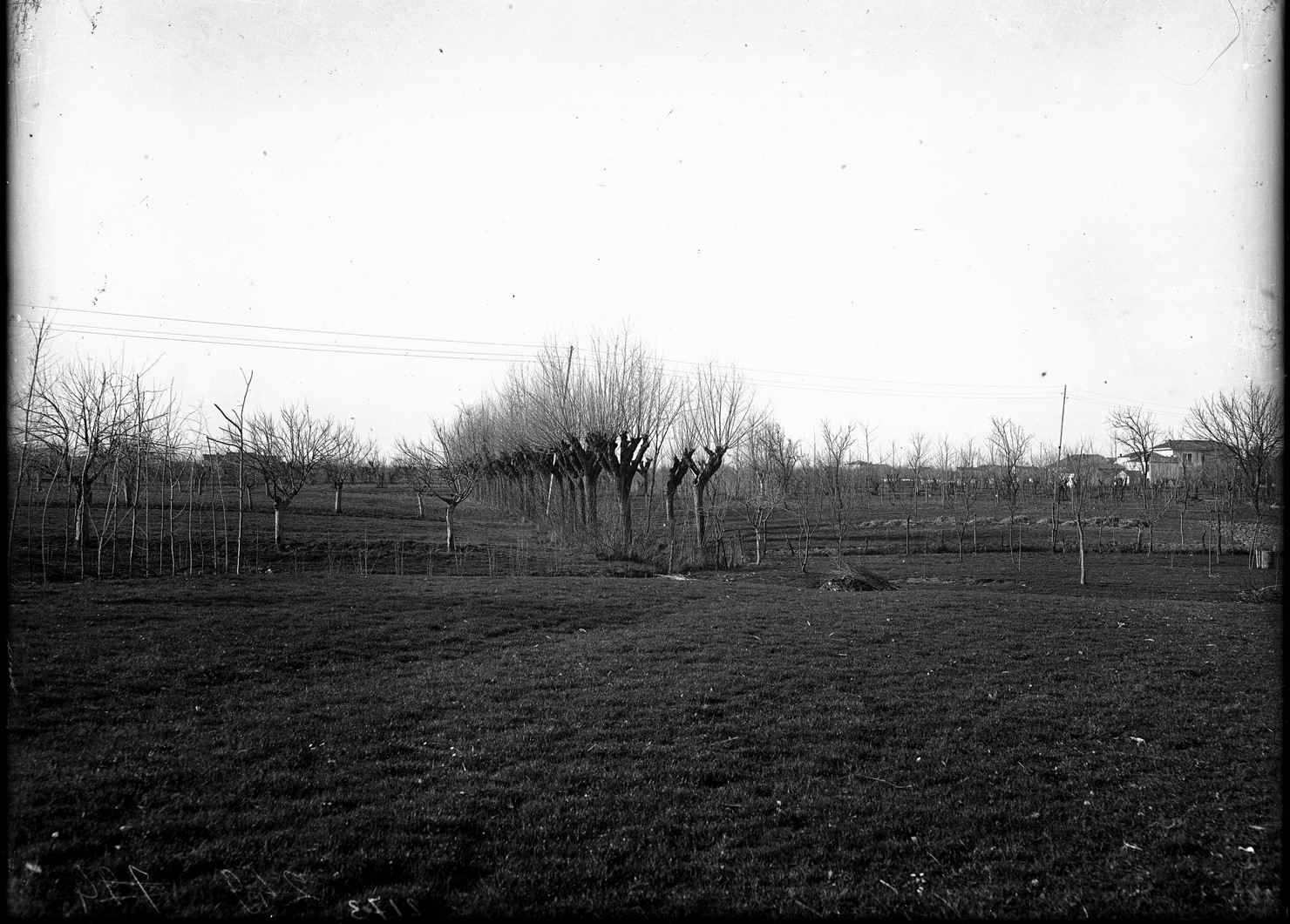 Paesaggio agrario – Terreni agrari - Coltivazione – Campi (negativo) di Anonimo (XX)