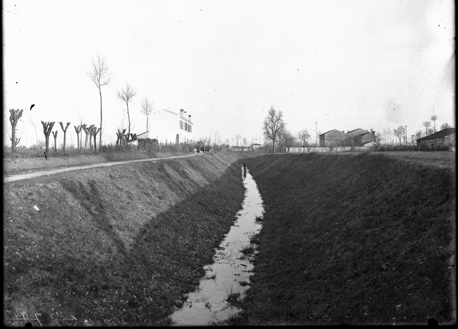 Paesaggio agrario – Terreni agrari - Coltivazione – Campi (negativo) di Anonimo (XX)