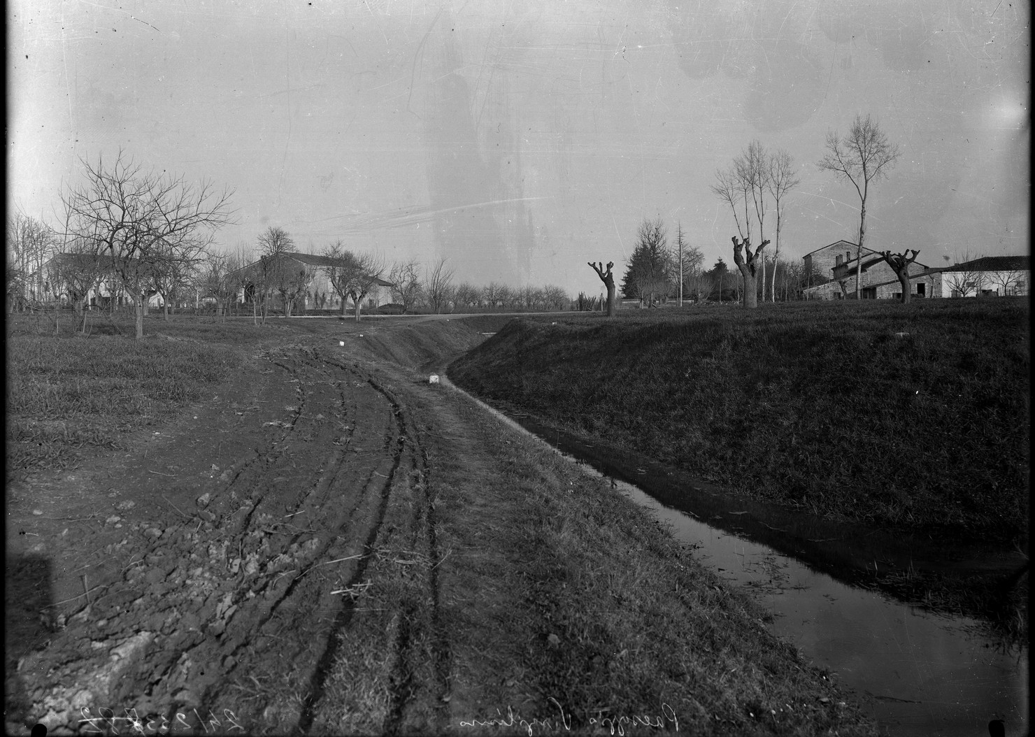 Paesaggio agrario – Terreni agrari - Coltivazione – Campi (negativo) di Anonimo (XX)