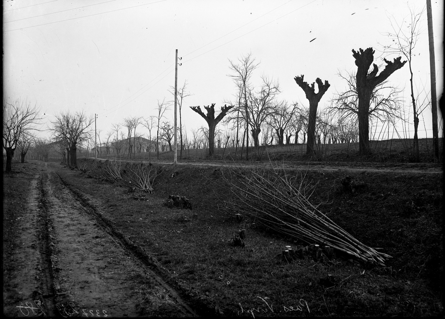 Strade - Sentieri - Mulattiere (negativo) di Anonimo (XX)