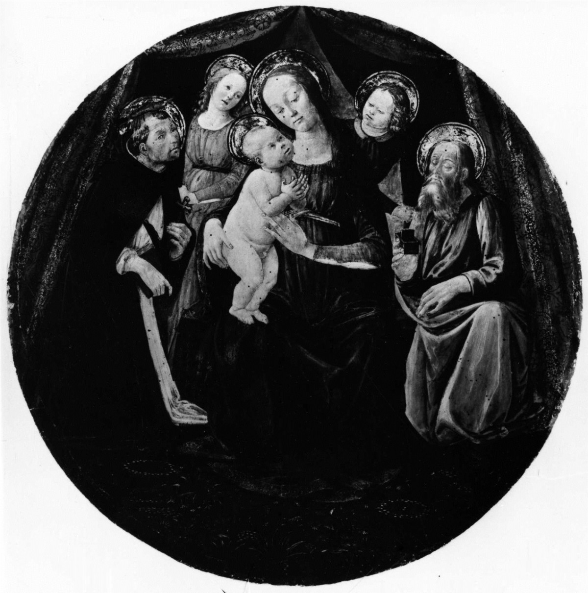 Madonna con Bambino fra angeli con San Pietro Martire e Tobia (dipinto) di Jacopo del Sellaio (ultimo quarto sec. XV)