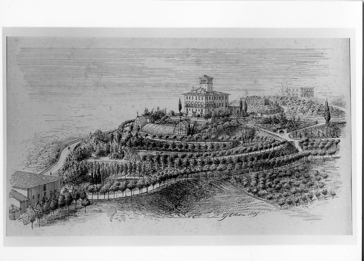 progetto di ristrutturazione della villa "Il Salviatino" presso Firenze (stampa, serie) di Corinti Corinto - ambito fiorentino (sec. XIX)