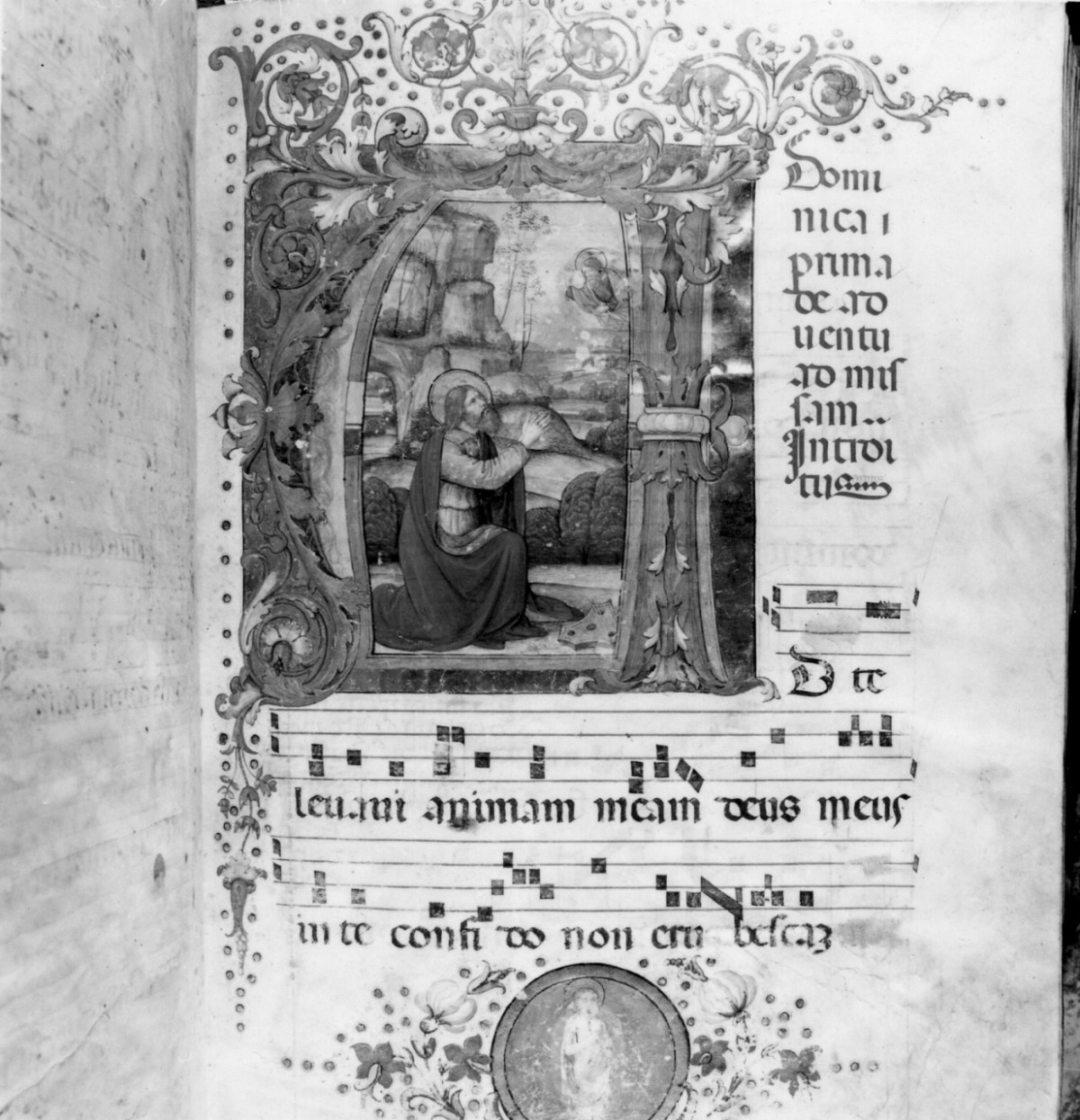 David penitente (miniatura) - ambito fiorentino (fine/ inizio secc. XV/ XVI)