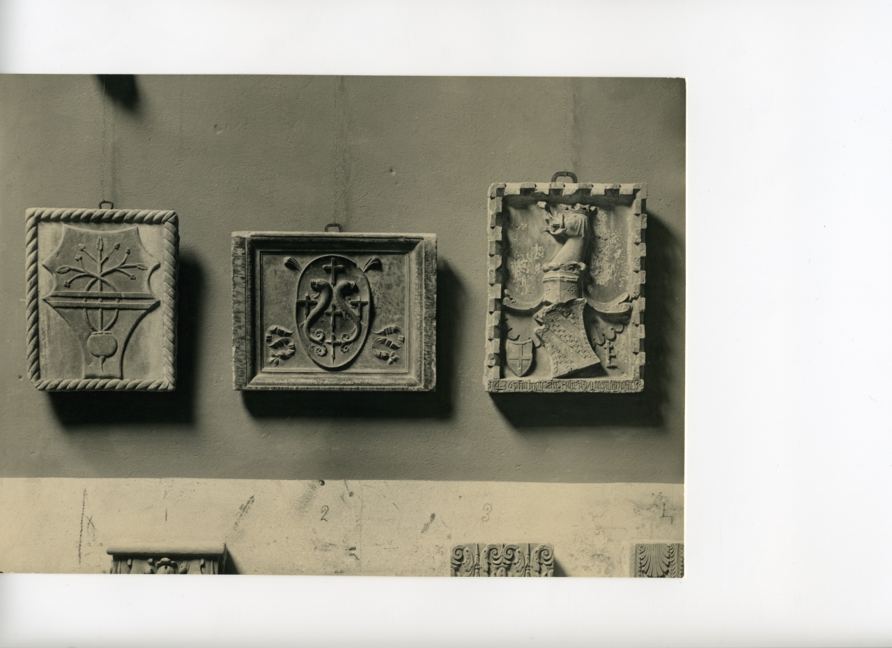 stemmi (positivo) di anonimo (prima metà XX)