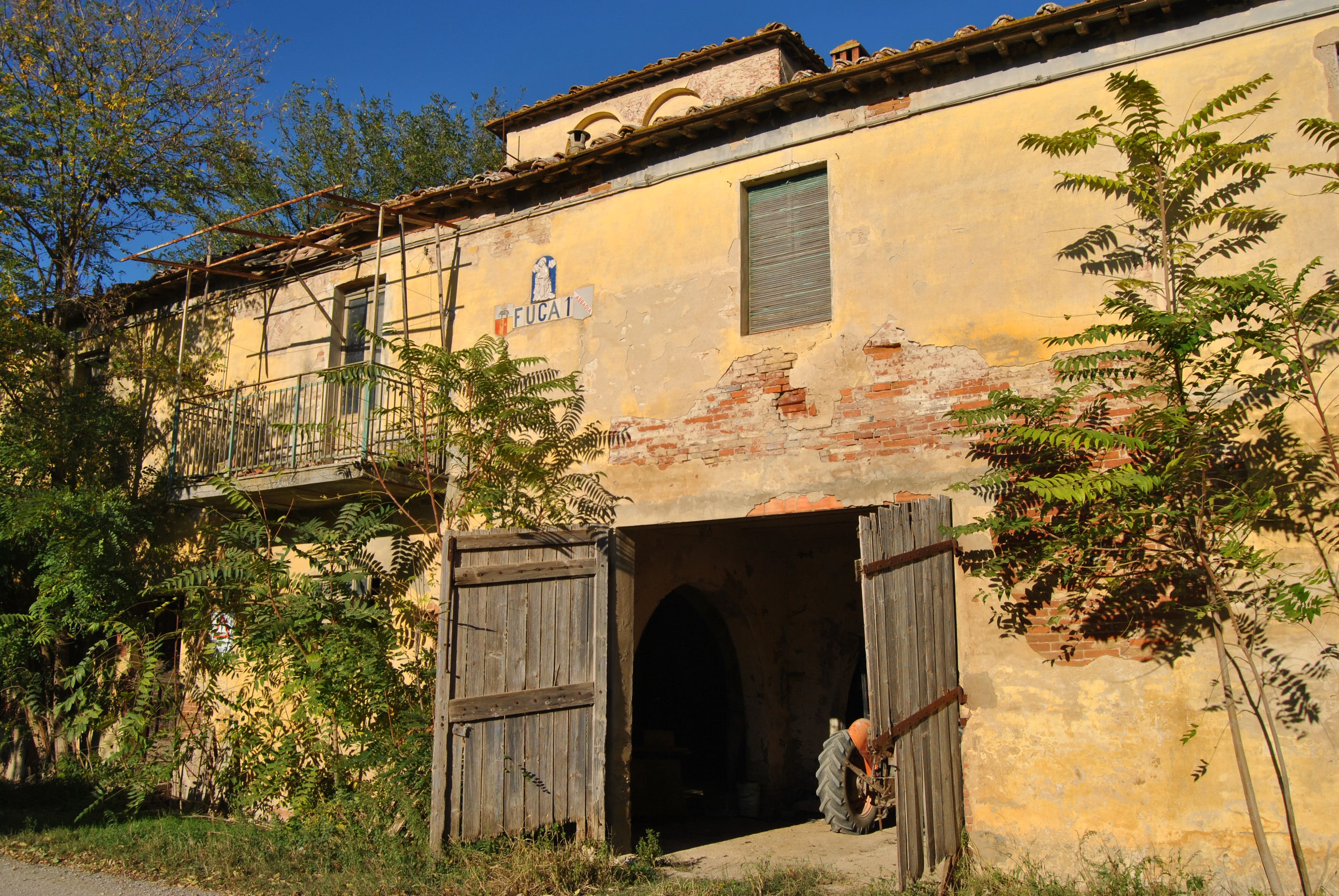 Podere Fuga I° (Leopoldina) - Montepulciano (SI) 