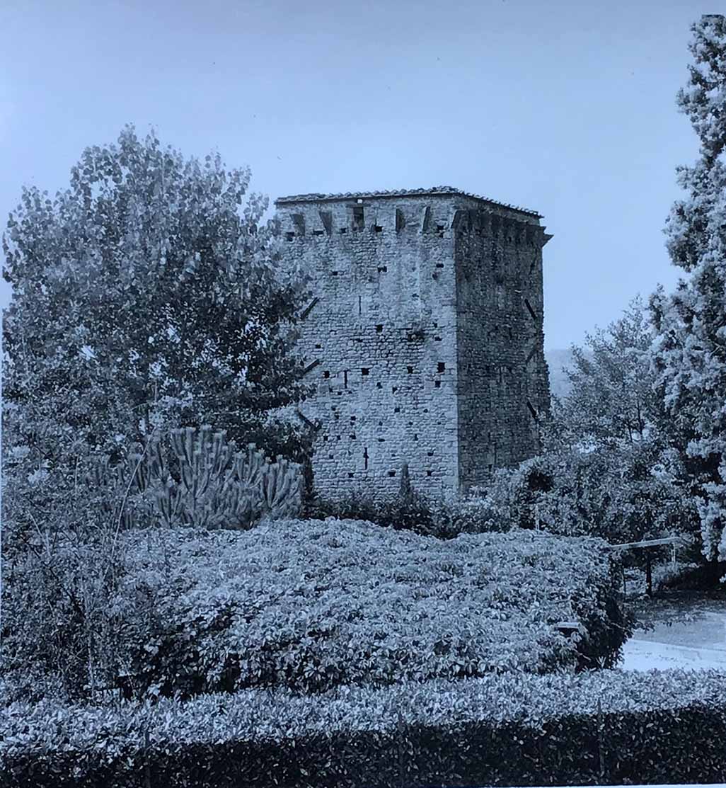 Torre del Seminario (torre, comunale) - Pescia (PT)  (XII)