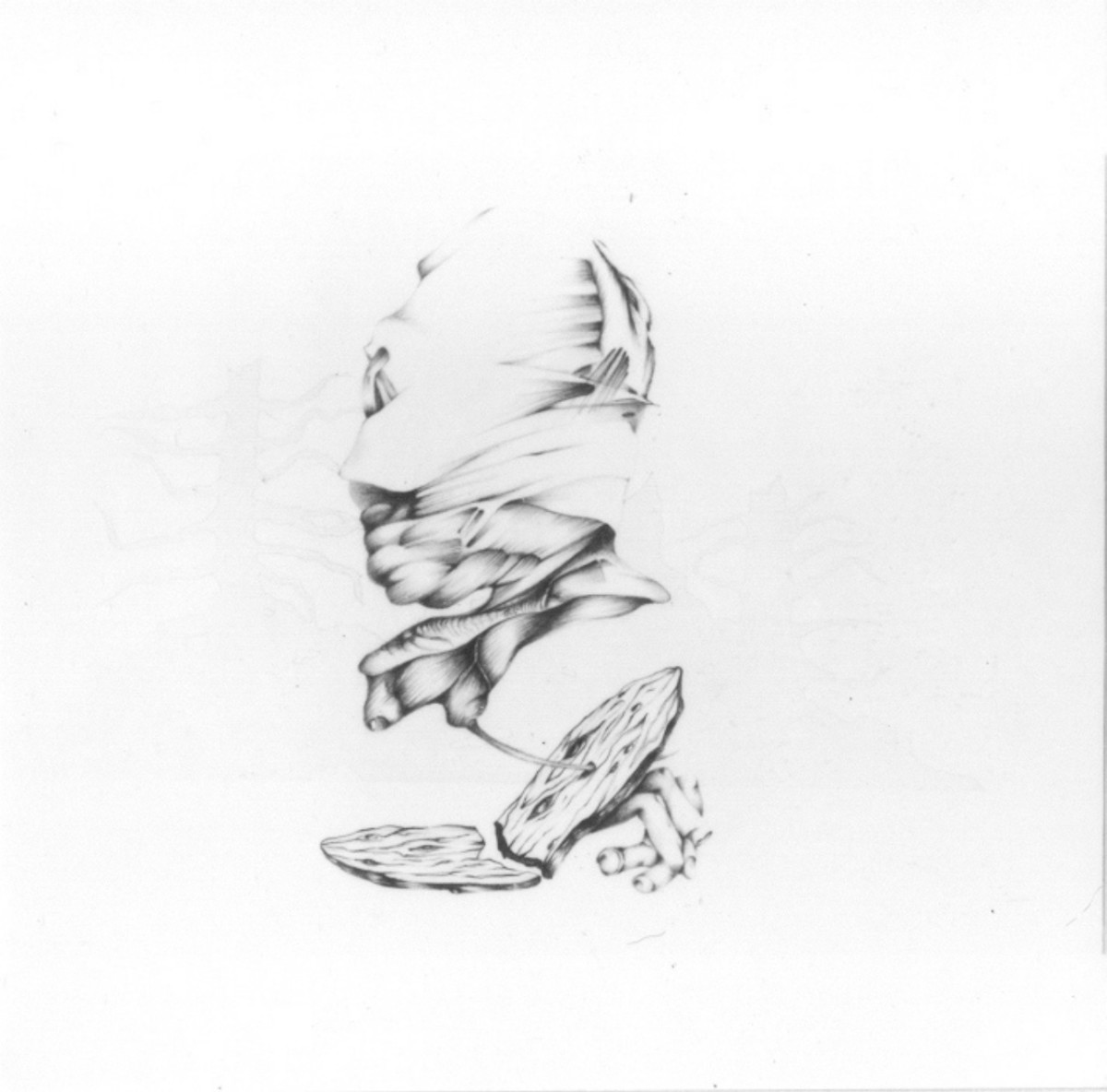 testa d'uomo di profilo (disegno) di Forno Osvaldo (sec. XX)