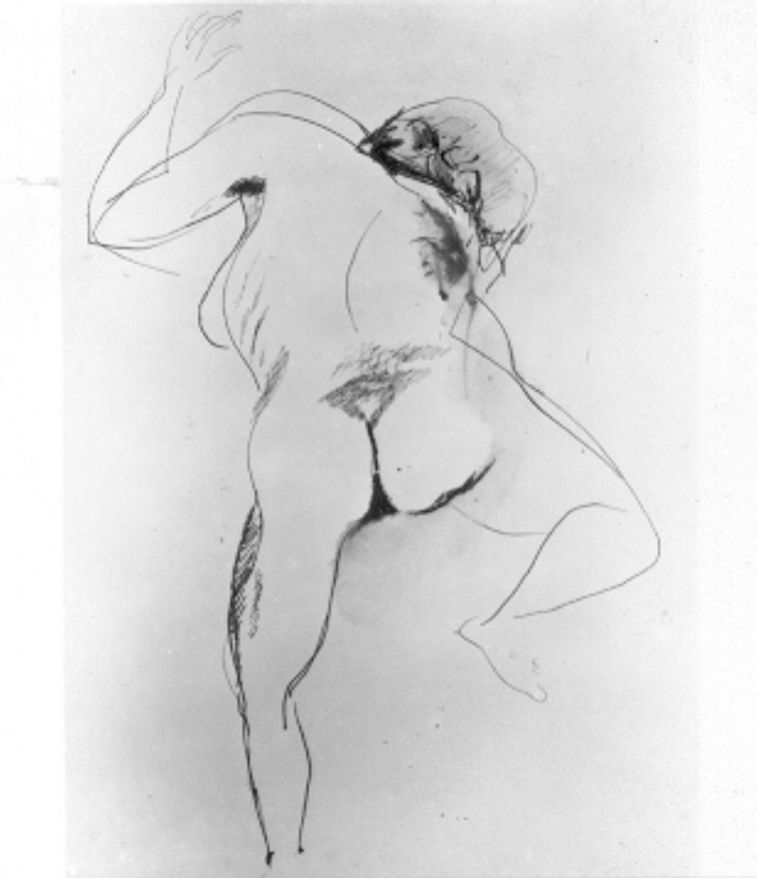 giovane nudo (disegno) di Saetti Bruno (sec. XX)