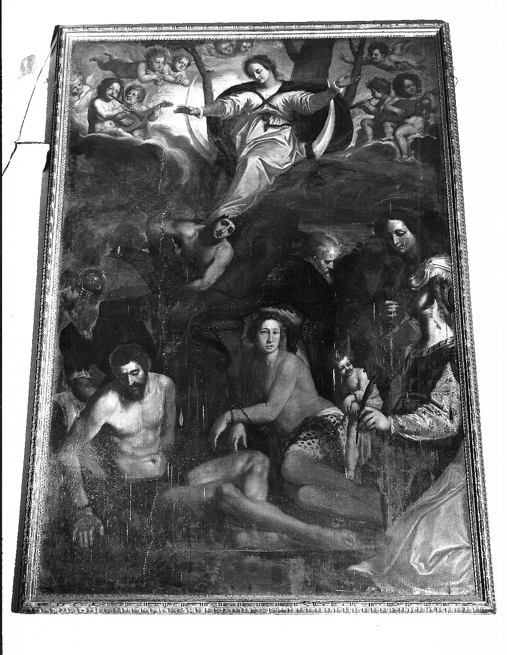 Immacolata Concezione con Adamo, Eva, San Giovanni Evangelista e Santi (dipinto) di Boschi Fabrizio (sec. XVII)
