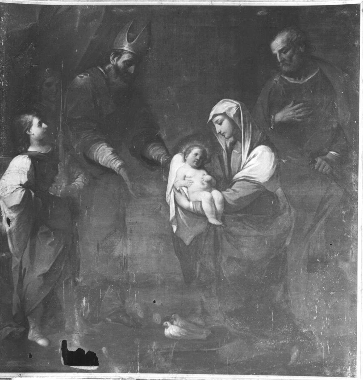 presentazione di Gesù al tempio (dipinto) di Pasinelli Lorenzo (terzo quarto sec. XVII)