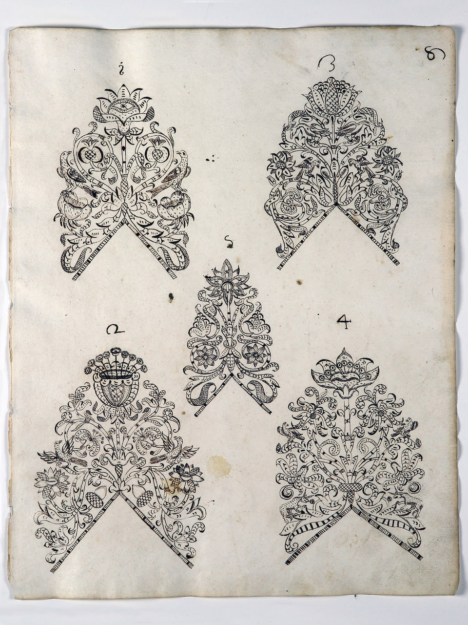 modelli per merletti (disegno) di Samarco Giovanni Alfonso (attribuito) (sec. XVII)