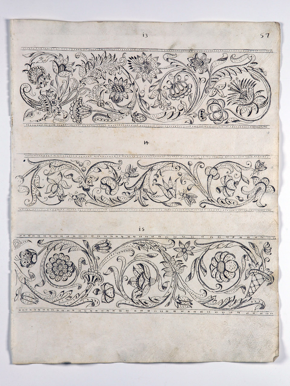 modelli per merletti (disegno) di Samarco Giovanni Alfonso (attribuito) (sec. XVII)