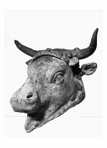 Bovino (PROTOME) - produzione tarantina (secc. III/ II a.C)