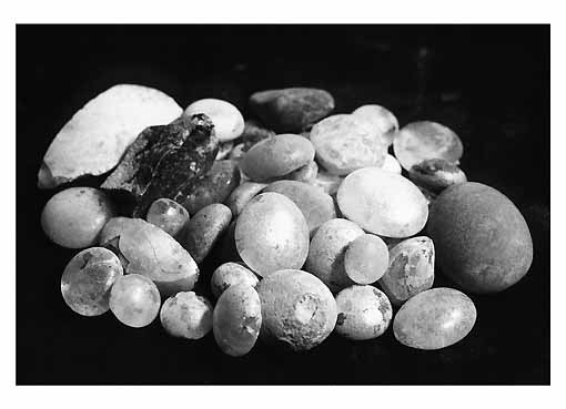 PEDINA - ambito tarantino (sec. III a.C)