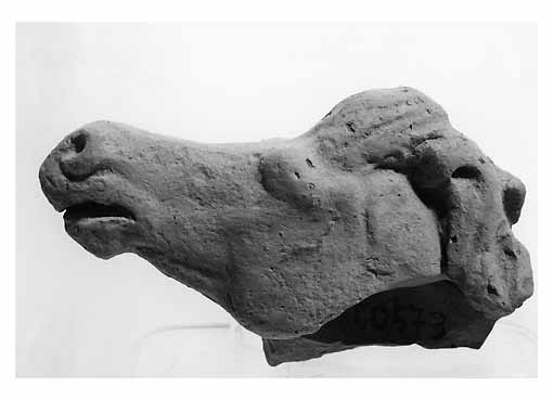 Cavallo (RILIEVO) - produzione tarantina (sec. IV a.C)