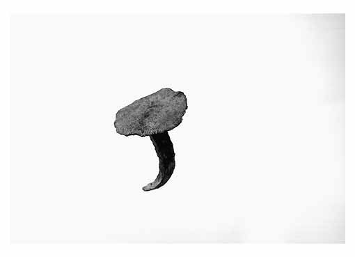 CHIODO - ambito tarantino (fine sec. II a.C)