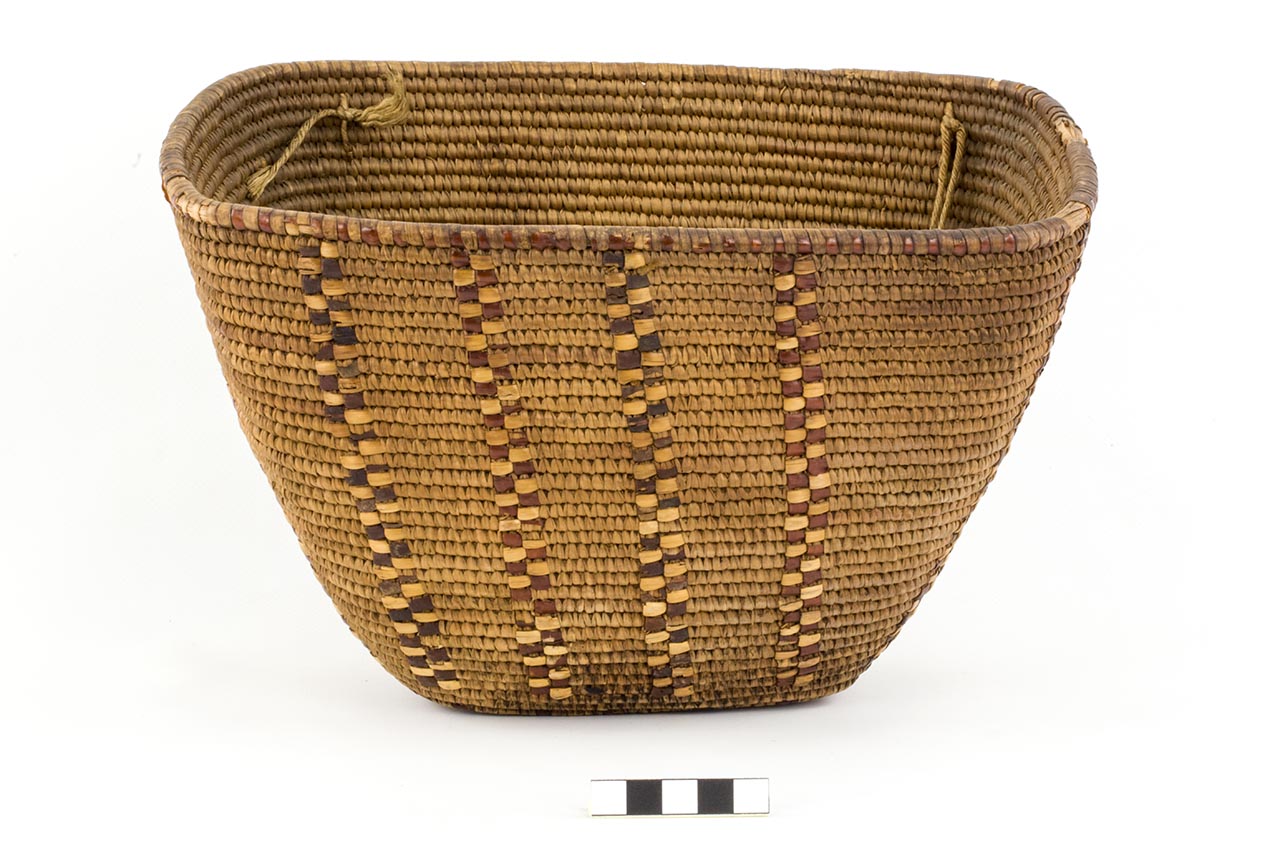 Cesto, ARREDI E SUPPELLETTILI/ CONTENITORI, RECIPIENTI E OGGETTI DI USO DOMESTICO - Coast Salish