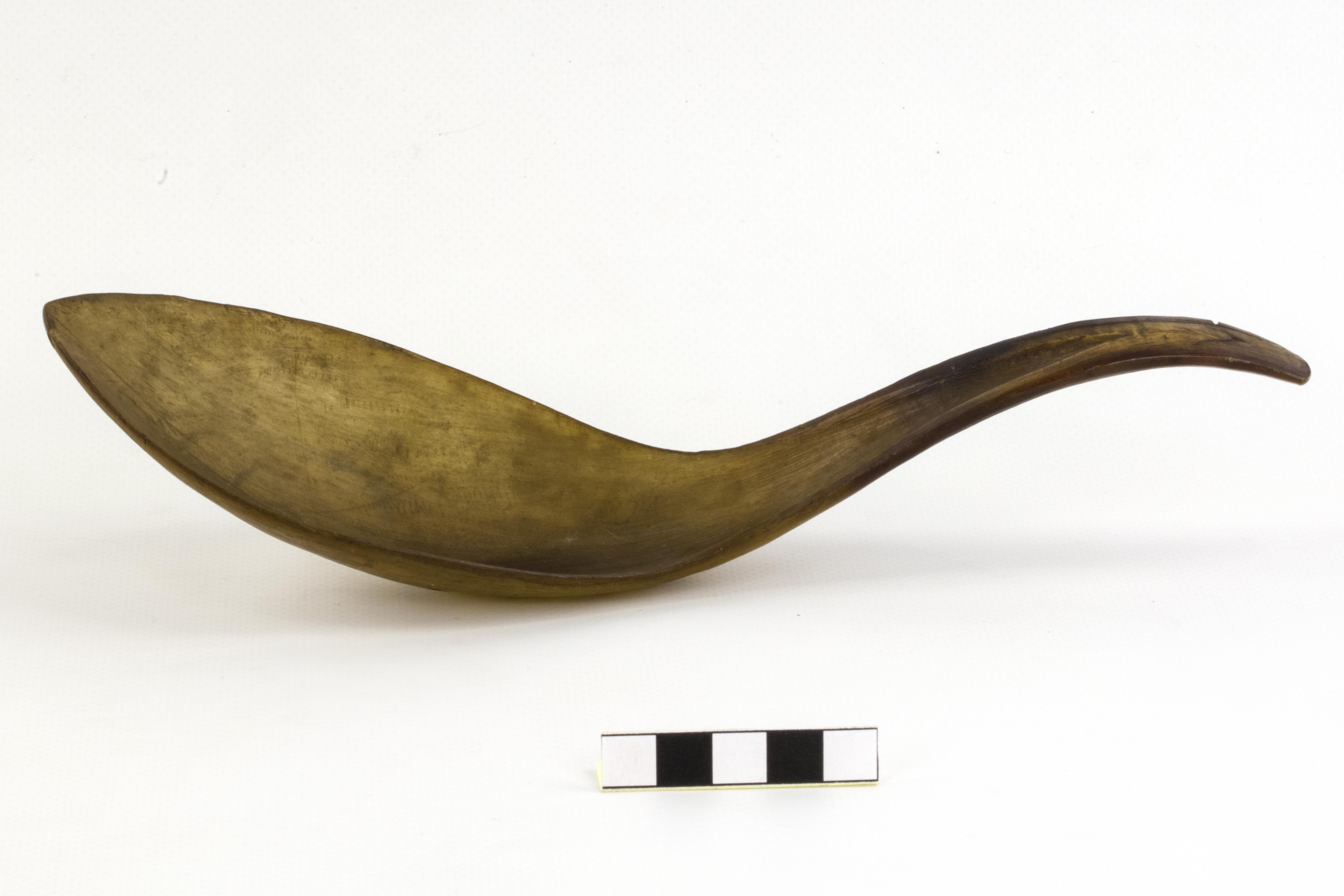 Cucchiaio, ARREDI E SUPPELLETTILI/ CONTENITORI, RECIPIENTI E OGGETTI DI USO DOMESTICO - Tlingit