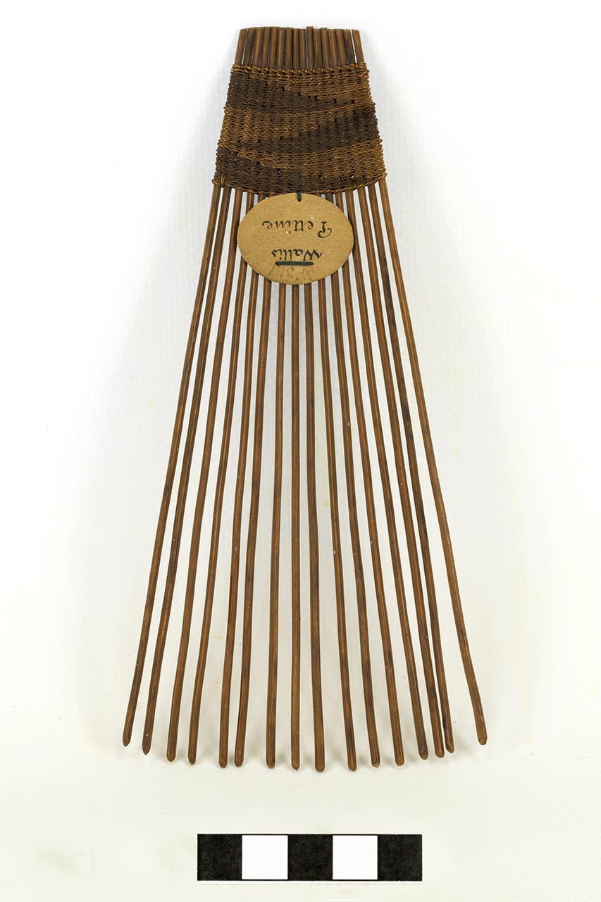 Pettine, ABBIGLIAMENTO E ORNAMENTI DEL CORPO/ ACCESSORI