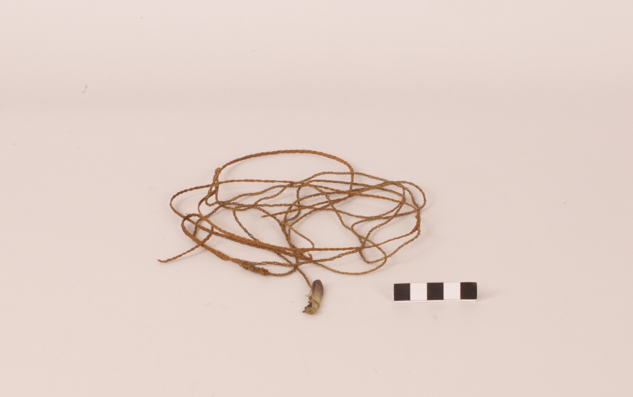 Amo, STRUMENTI E ACCESSORI/ CACCIA E PESCA