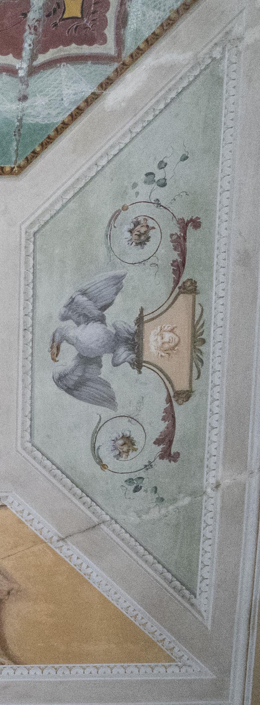 motivi decorativi a girali vegetali con aquila (dipinto) - ambito veneto (secondo quarto XIX)
