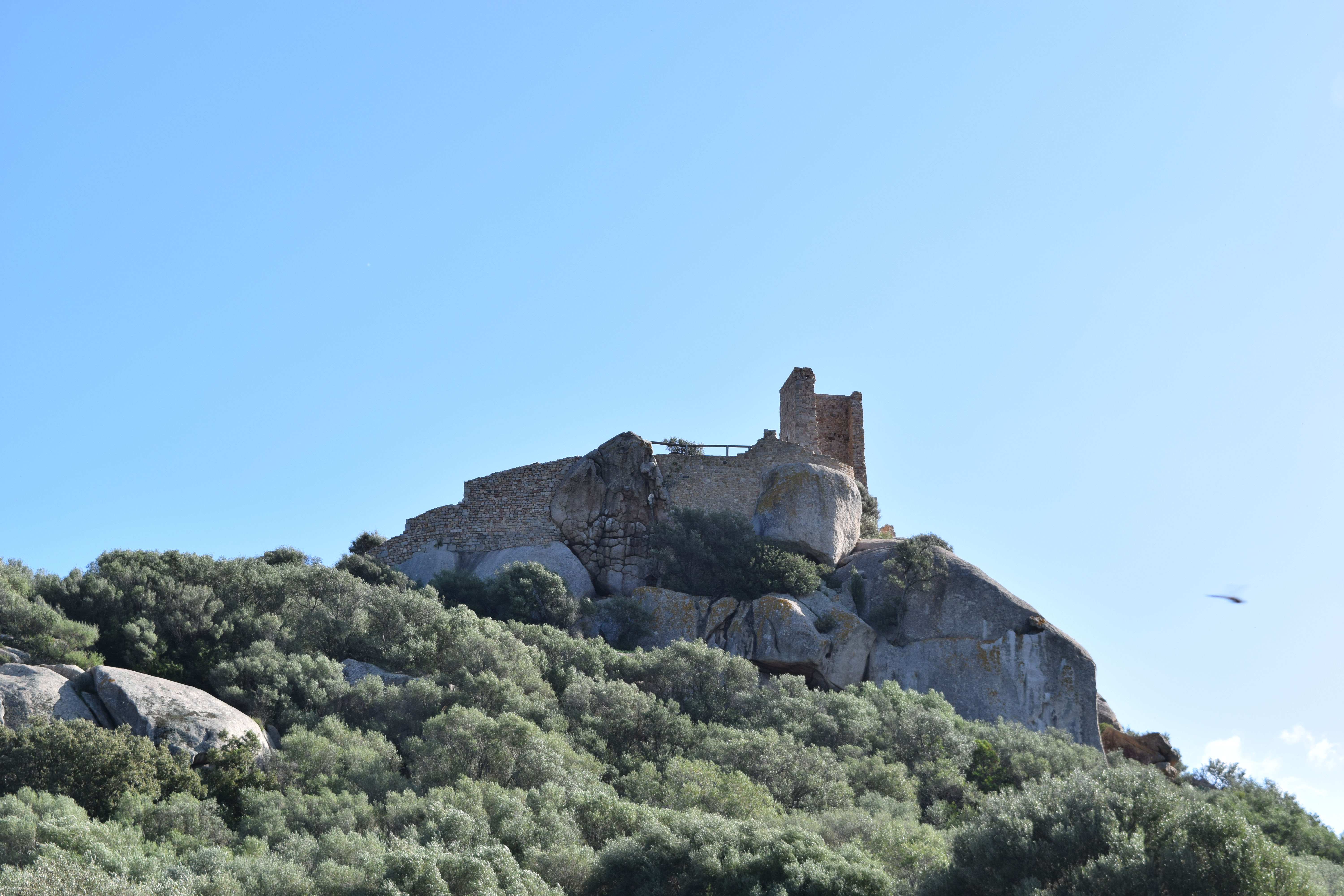 Castello di pedres (castello, medievale)