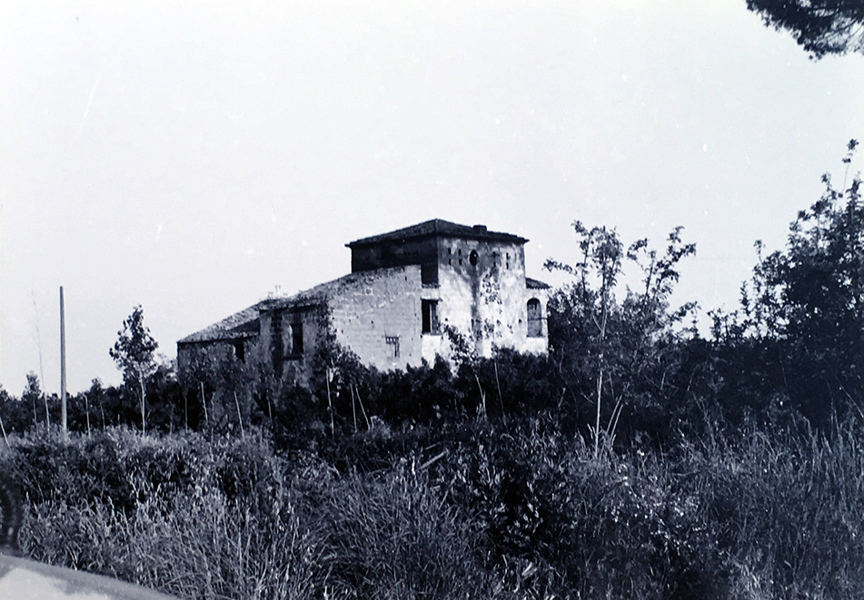 Masseria Fortecantro (masseria) - Falciano del Massico (CE) 