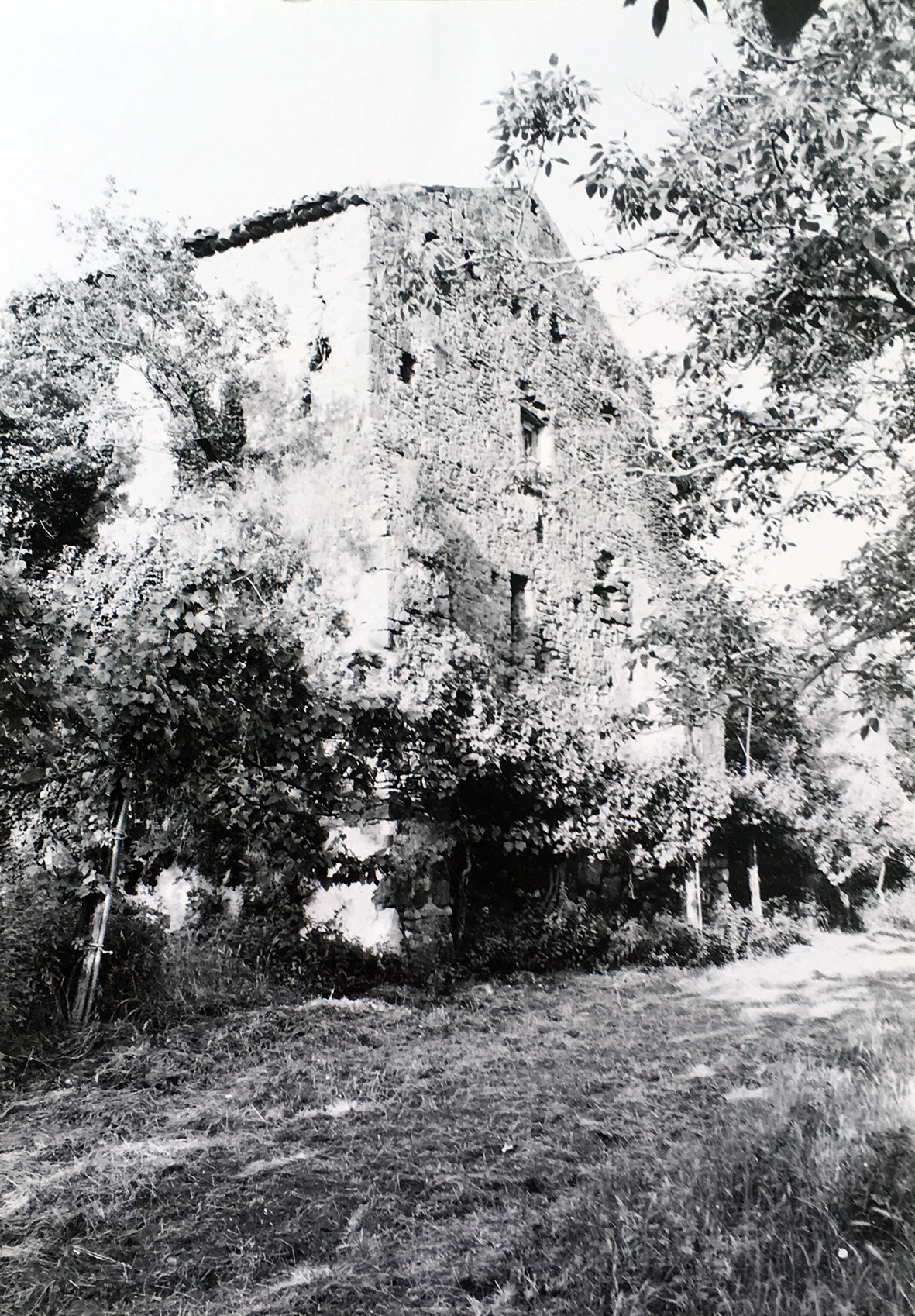 Masseria S. Ilario (masseria) - Falciano del Massico (CE) 