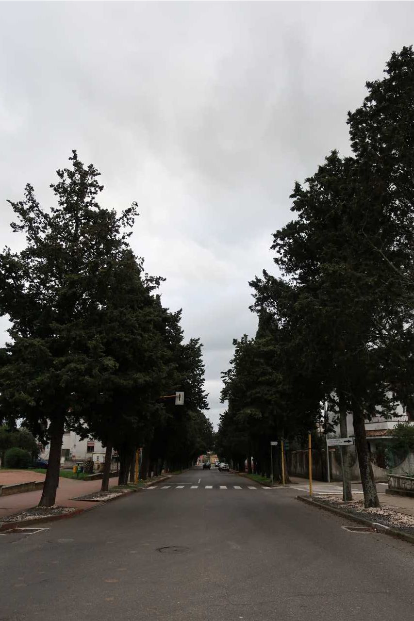 Viale delle rimembranze di ghilarza (viale commemorativo/ ai caduti della prima guerra mondiale)